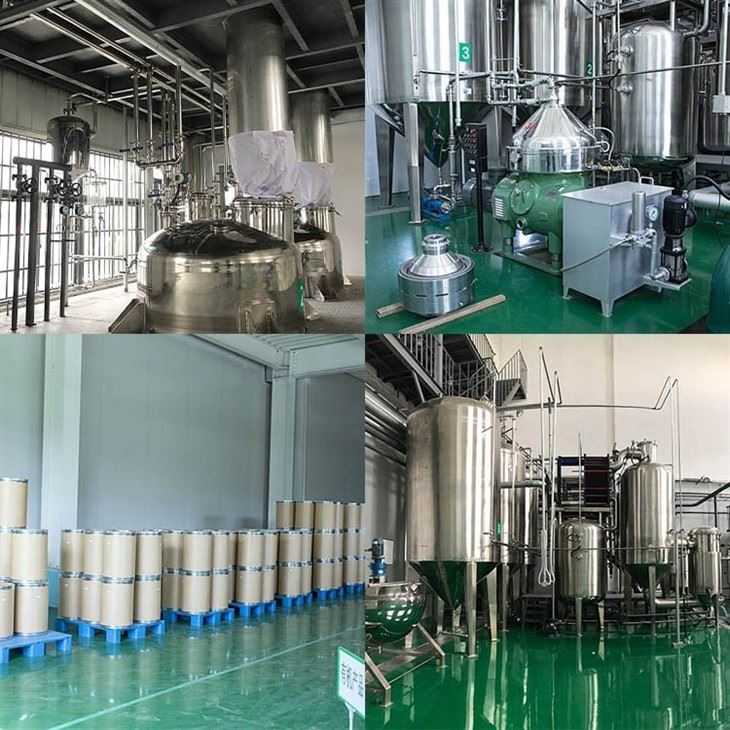 Organic Acerola Cherry Powder factory